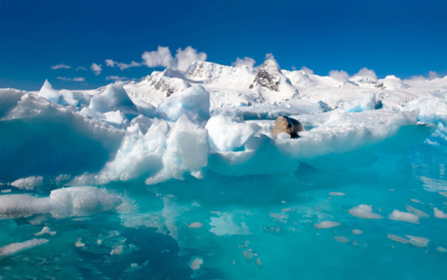 C:UsersuserDesktop南极新建文件夹 (2)24.jpeg